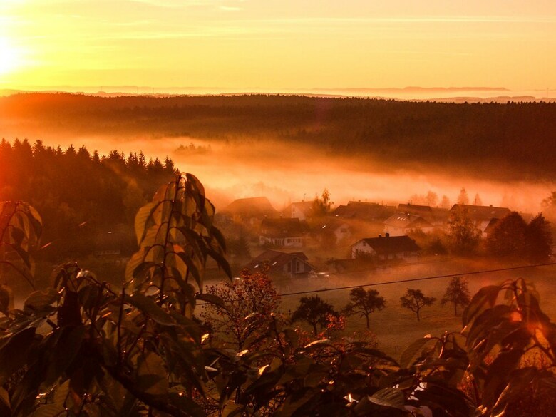 Hotel Fritz Lauterbad