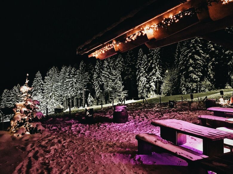 Hotel Fritz Lauterbad