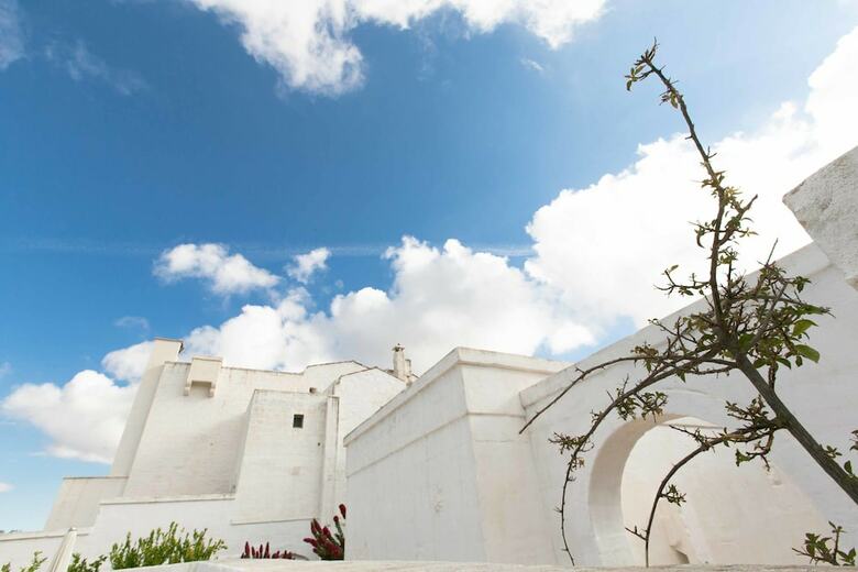 Bed & Breakfast Masseria Le Carrube