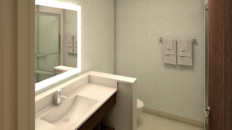 Hotel Holiday Inn Express Spring Hill