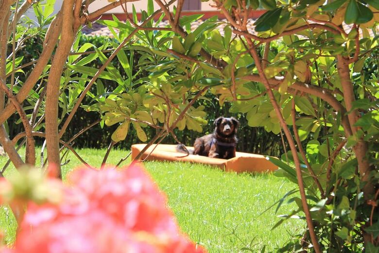 Apartamento Argentario Osa Village