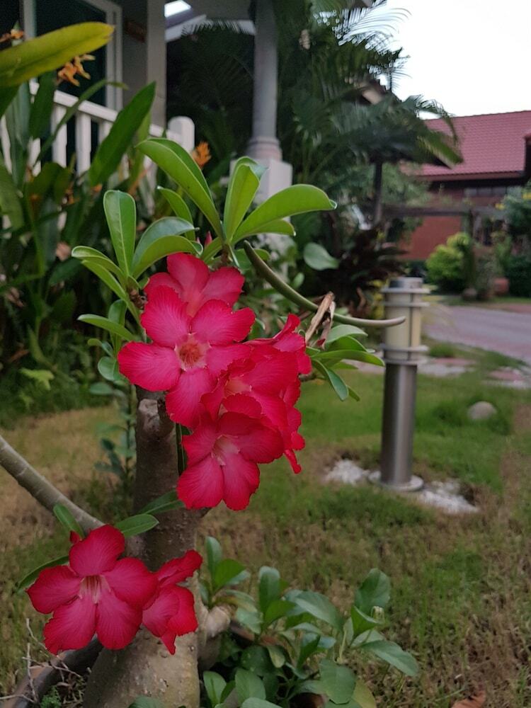 Hotel Baan Penny