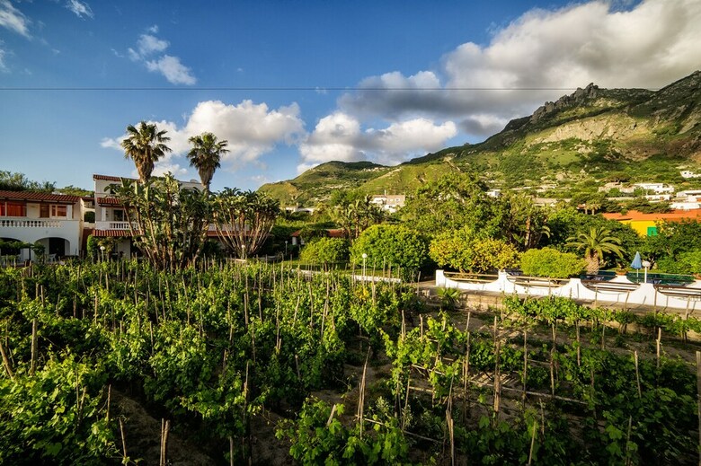 Residence San Domenico