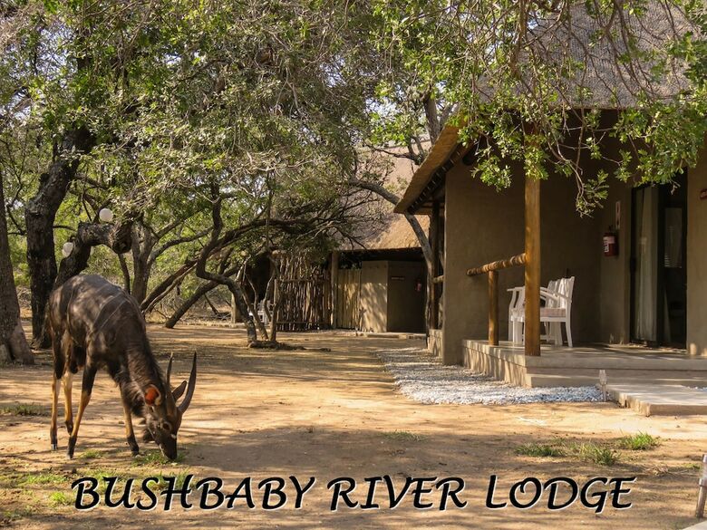 Bed & Breakfast Bushbaby River Lodge