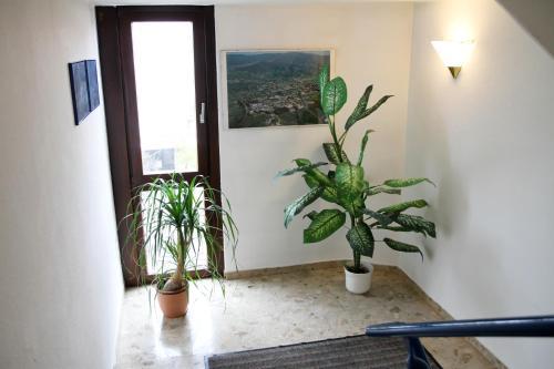 Hotel Garni Italia