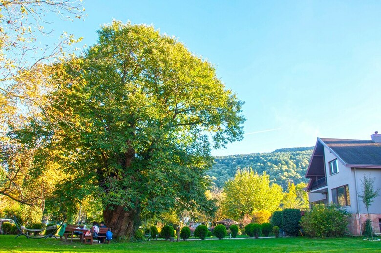 Villa Kirkpinar Sapanca