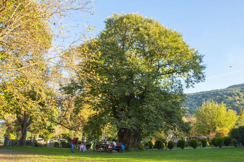 Villa Kirkpinar Sapanca