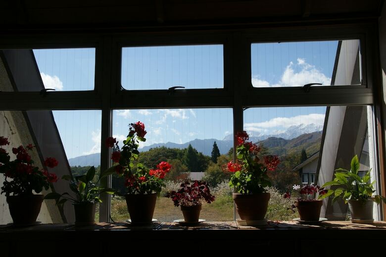 Pension Petit Hotel Shanze