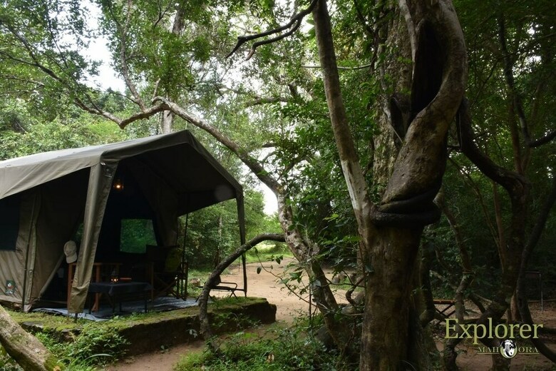 Hotel Explorer By Mahoora - Wasgamuwa ( All-inclusive)
