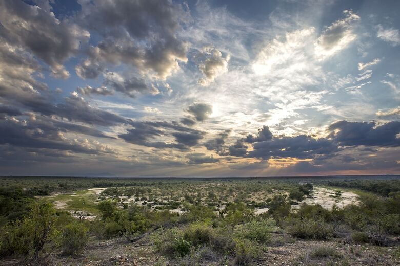 Posada Amani Safari Camp