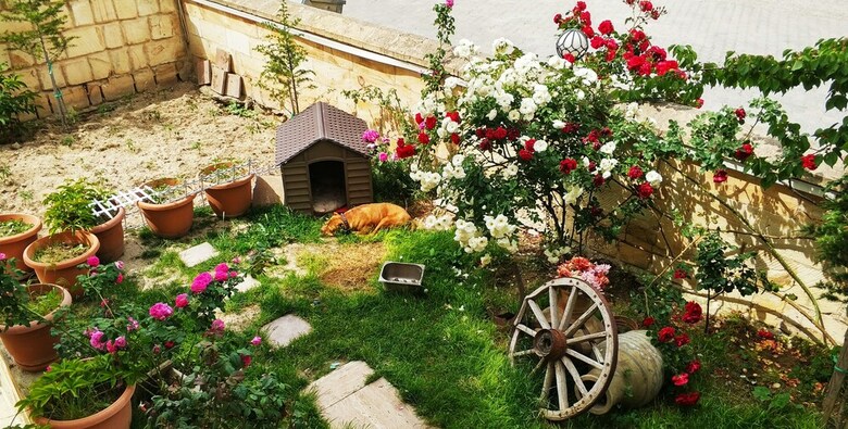 Hotel Shoestring Stone House