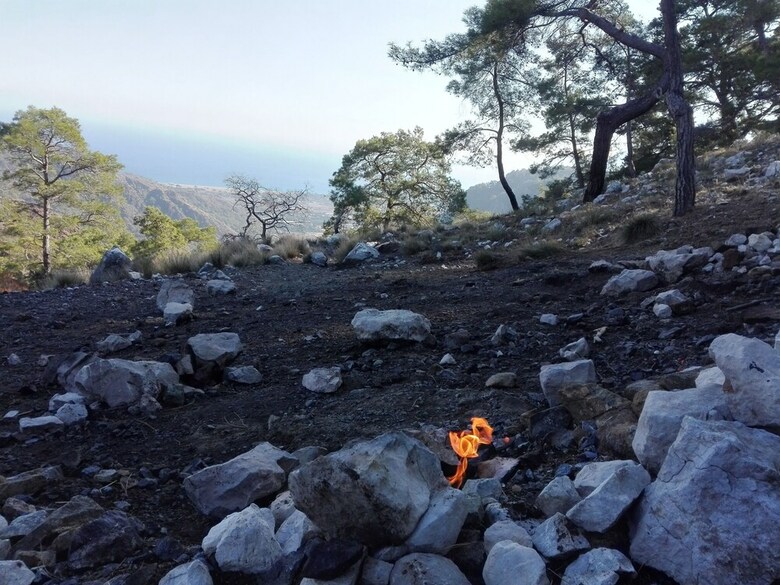 Pension Rosemary Pansiyon