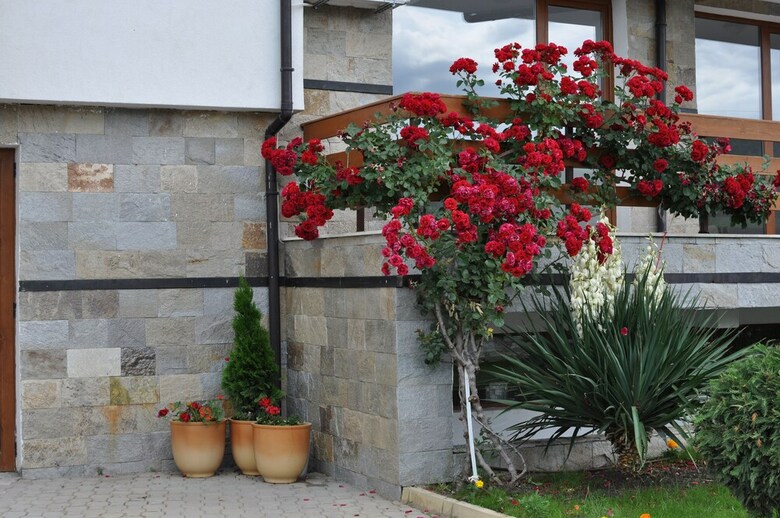 Hotel Gardenia Hills