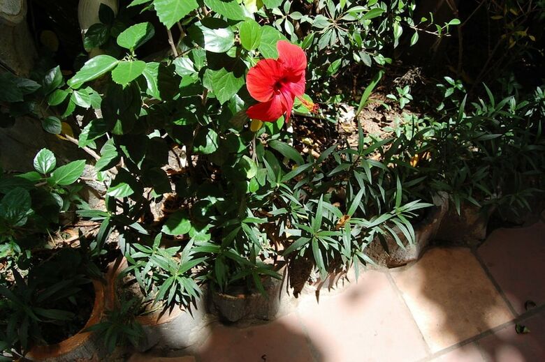 Hotel Sen Monorom I Guesthouse