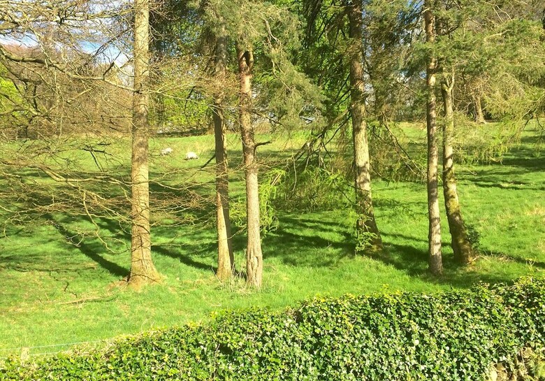 Bed & Breakfast Blenheim Lodge