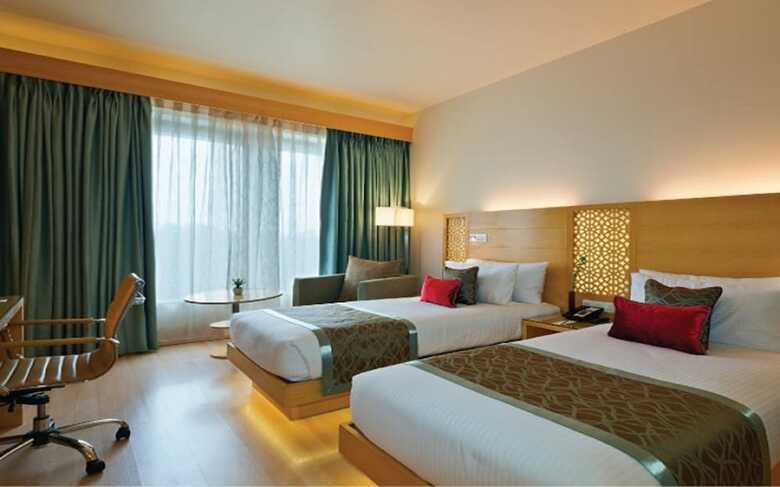 Hotel Sayaji Raipur