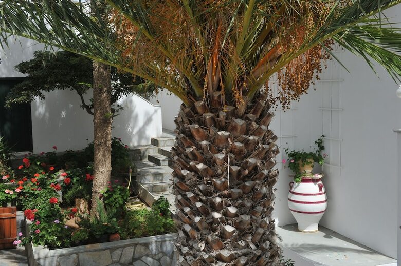 Hotel Rallis Apartments