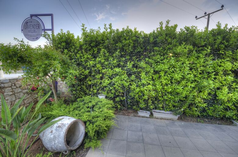Apartamentos Lavender Villas Chania