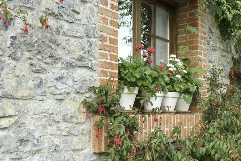 Apartamentos Casa In�s
