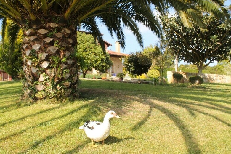 Agroturismo Casa de Aldea Torreteyera