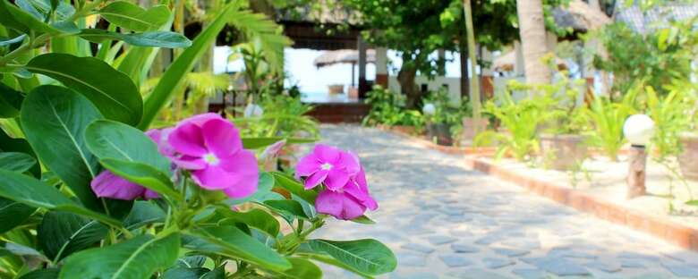 Bien Dua Backpacker Hotel