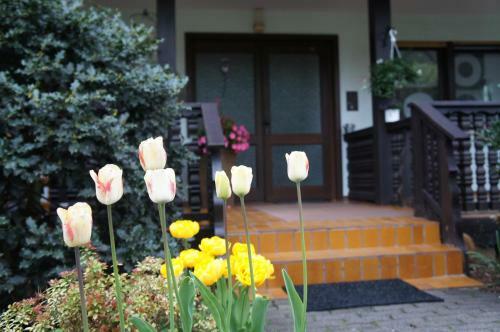 Hostal Haus Sonnenschein