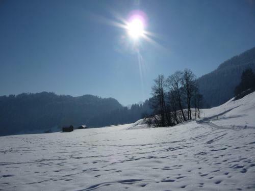 Apartamento Ferienwohnung Stuim�ndle