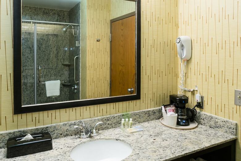 Holiday Inn Hotel And Conference Center Big Rapids