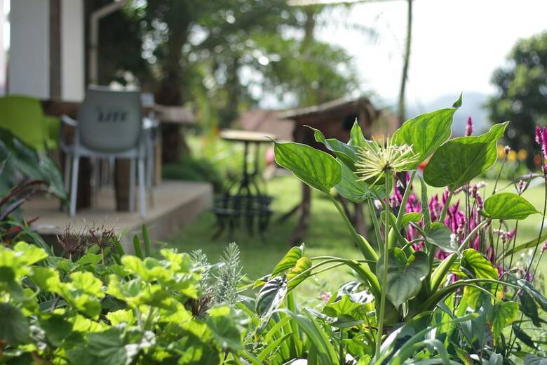 Hotel Boulevard Inn Mt Meru
