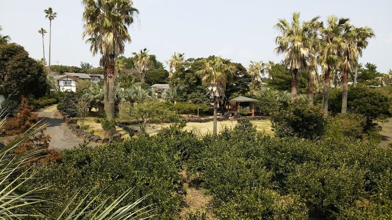 Pension Jeju Yazawon