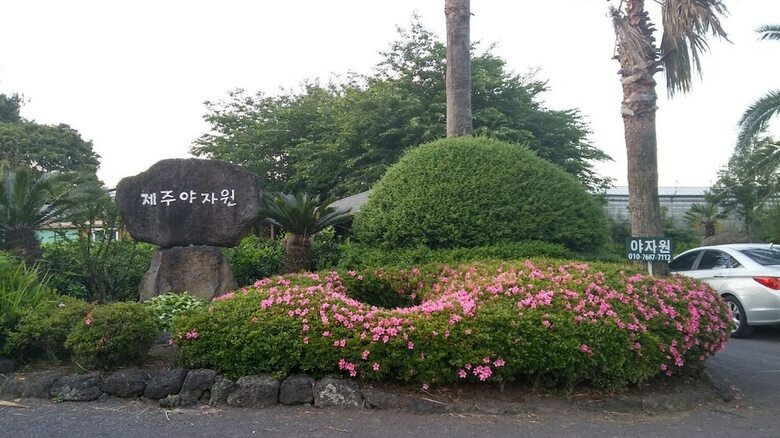 Pension Jeju Yazawon