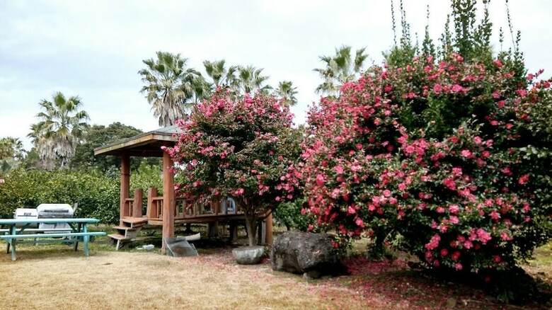 Pension Jeju Yazawon