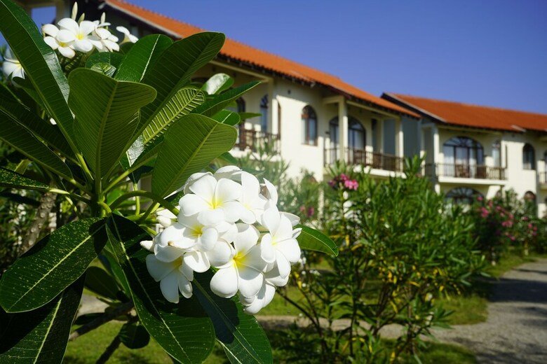 Hotel Shakti Vani Ayu