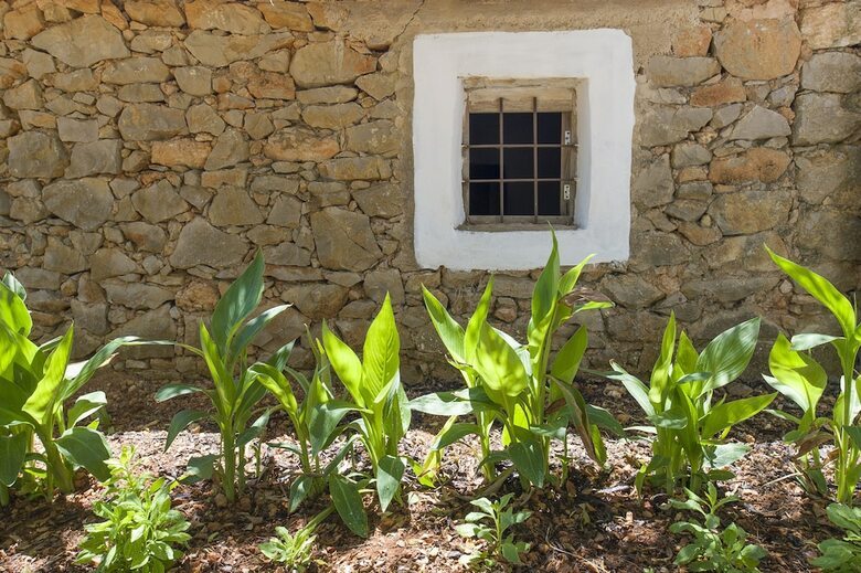 Villa Can Cama