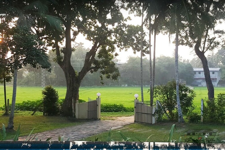 Hotel Kurundu Villa