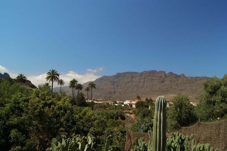 Agroturismo El Olivar - La Oliva
