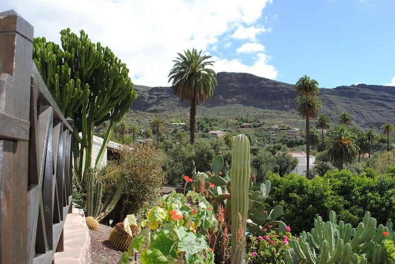 Agroturismo El Olivar - La Oliva