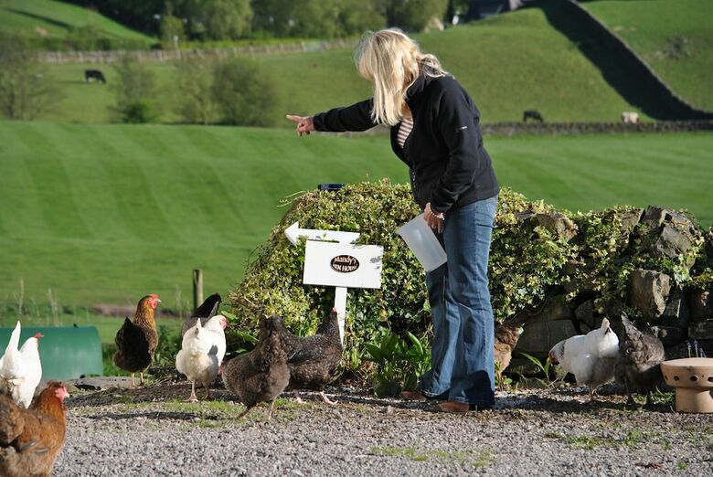 Bed & Breakfast Airds Farm B & B