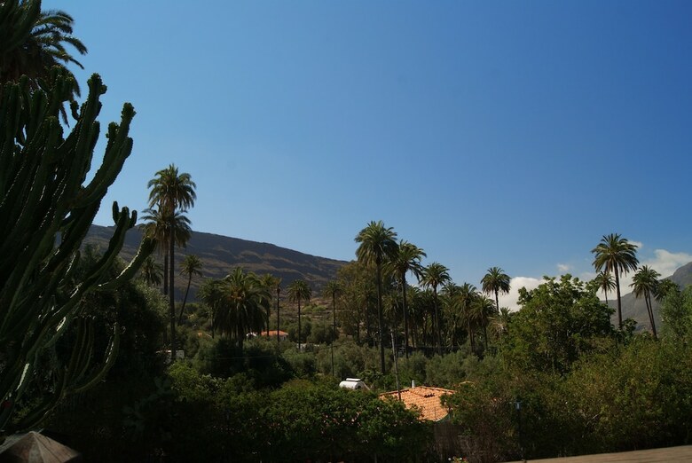 Apartamentos El Olivar - Orujo