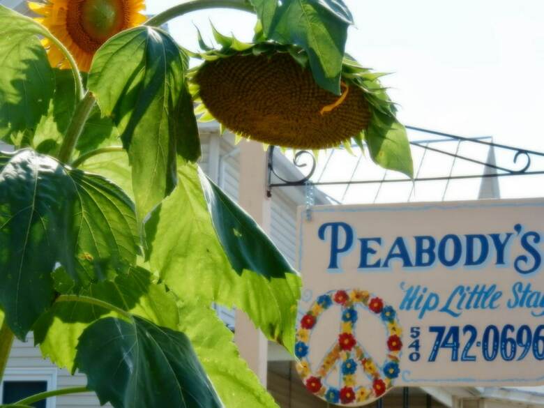 Bed & Breakfast Peabody's 'hip Little Stay'