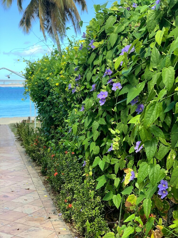 Hotel Emerald Beach Resort