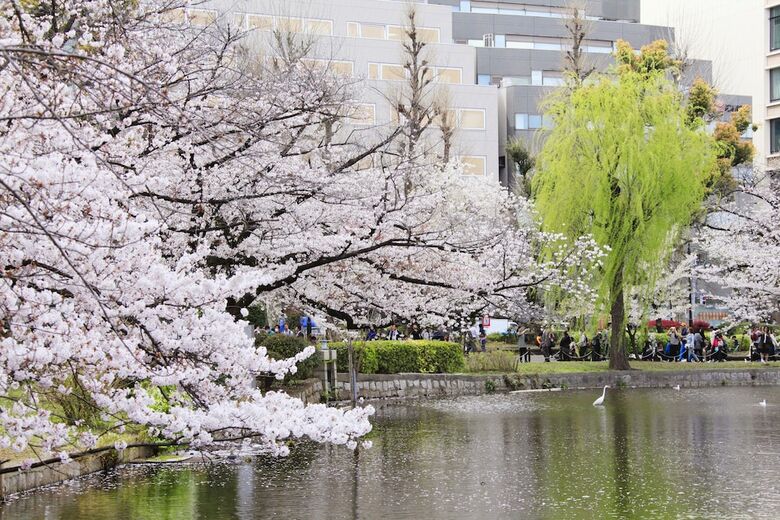 Centurion Hotel & Spa Ueno Station