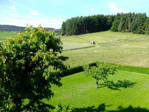 Apartamento Ferienwohnung Haus Weitblick