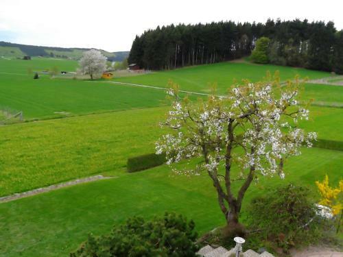 Apartamento Ferienwohnung Haus Weitblick