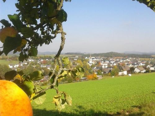 Apartamentos Appartment Schweinsberg