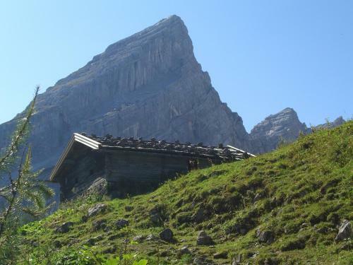 Apartamento Haus Irlinger