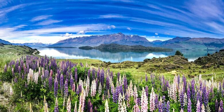 Amazing Queenstown Luxury Apartment