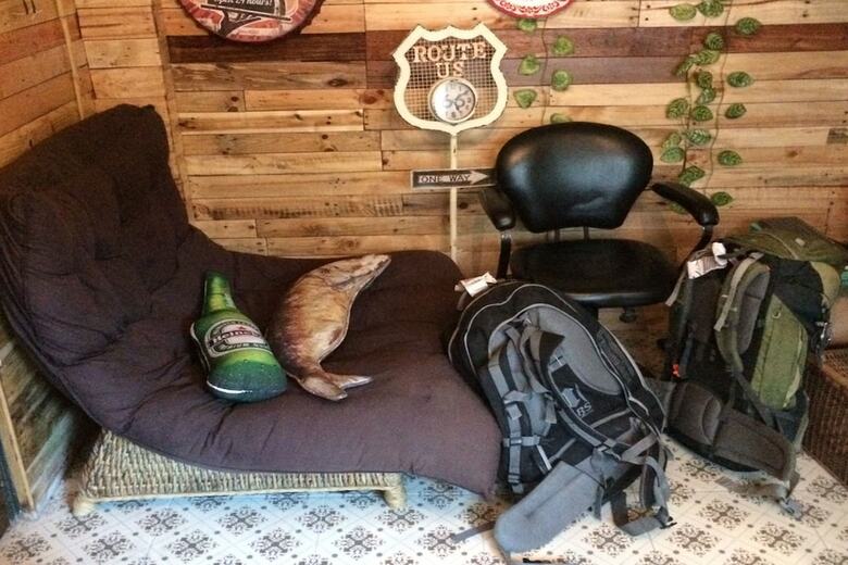 Hostal Staying Hostel