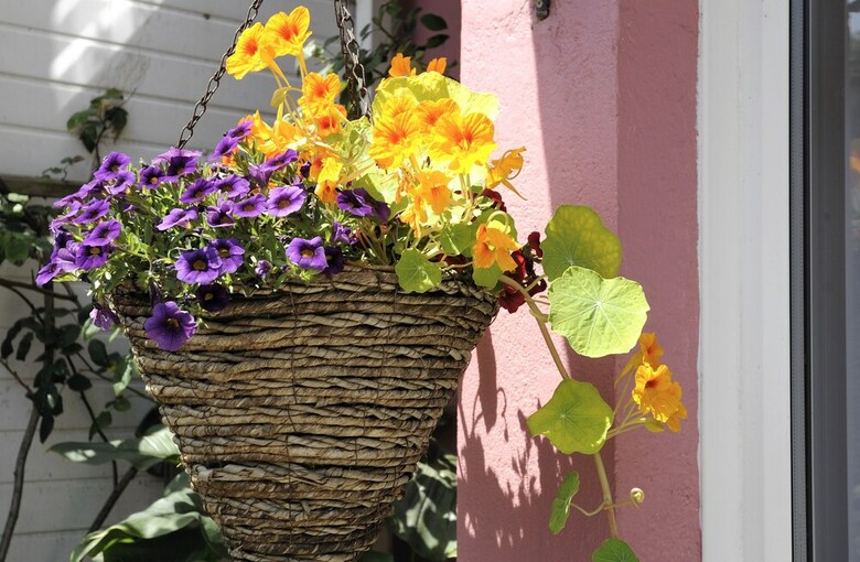 Bed & Breakfast Bay Cottage Guest House