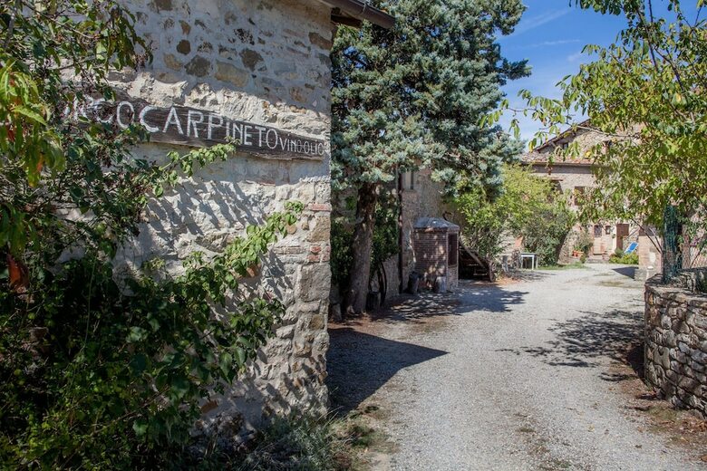 Bed & Breakfast Borgo Carpineto